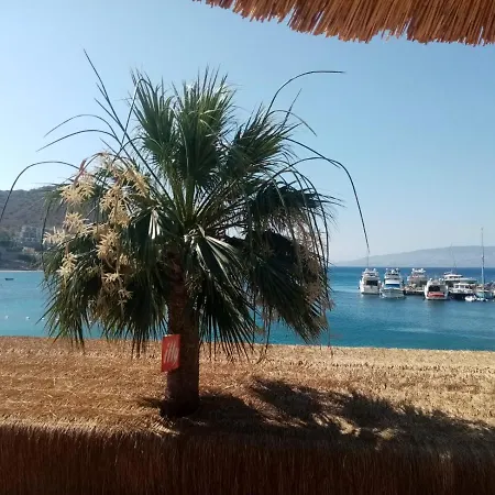 Aksoy Tas Ev *